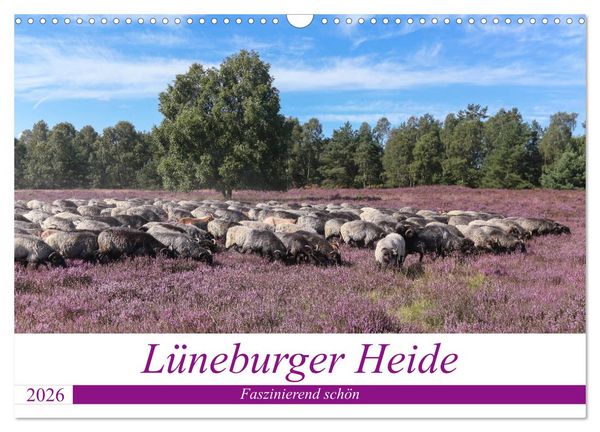 Produktbild: L&uuml;neburger Heide - Faszinierend sch&ouml;n (Wandkalender 2026 DIN A3 quer), CALVENDO Monatskalender
