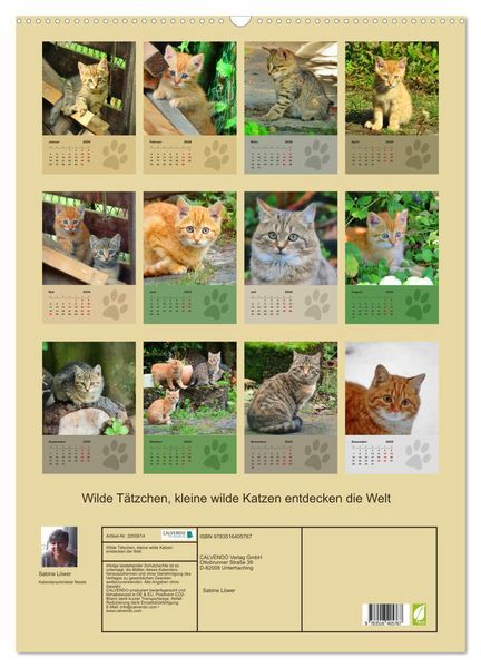Produktbild: Wilde T&auml;tzchen, kleine wilde Katzen entdecken die Welt (Wandkalender 2026 DIN A2 hoch), CALVENDO Monatskalender