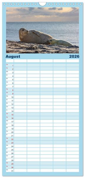 Produktbild: Familienplaner 2026 - Junge Kegelrobben mit 5 Spalten (Wandkalender, 21 x 45 cm) CALVENDO