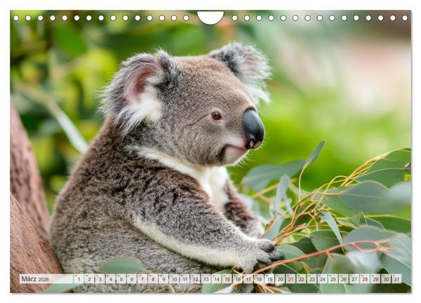 Produktbild: Bedrohte Tierwelt SCHATTEN DES VERSCHWINDENS (Wandkalender 2026 DIN A4 quer), CALVENDO Monatskalender