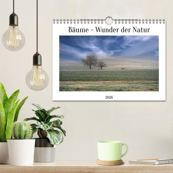 Produktbild: B&auml;ume - Wunder der Natur (Wandkalender 2026 DIN A4 quer), CALVENDO Monatskalender
