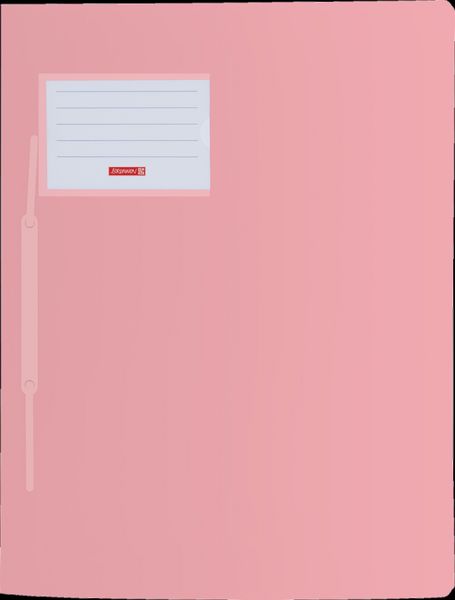 Produktbild: Brunnen Schnellhefter FACT!pp | A4, F&uuml;llh&ouml;he: 10 mm, pastellpink