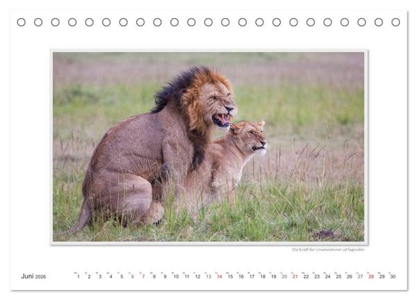 Produktbild: Emotionale Momente: Tierischer Sex. (Tischkalender 2026 DIN A5 quer), CALVENDO Monatskalender