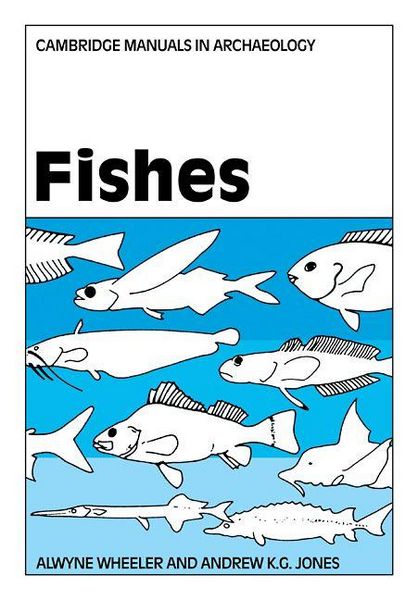 Produktbild: Fishes
