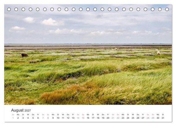Produktbild: Hamburger Hallig - Der Weg ist das Ziel (Tischkalender 2027 DIN A5 quer), CALVENDO Monatskalender