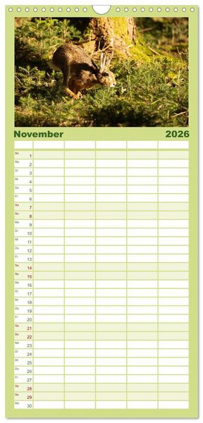 Produktbild: Familienplaner 2026 - Feldhasen unterwegs in Wald und Flur mit 5 Spalten (Wandkalender, 21 x 45 cm) CALVENDO