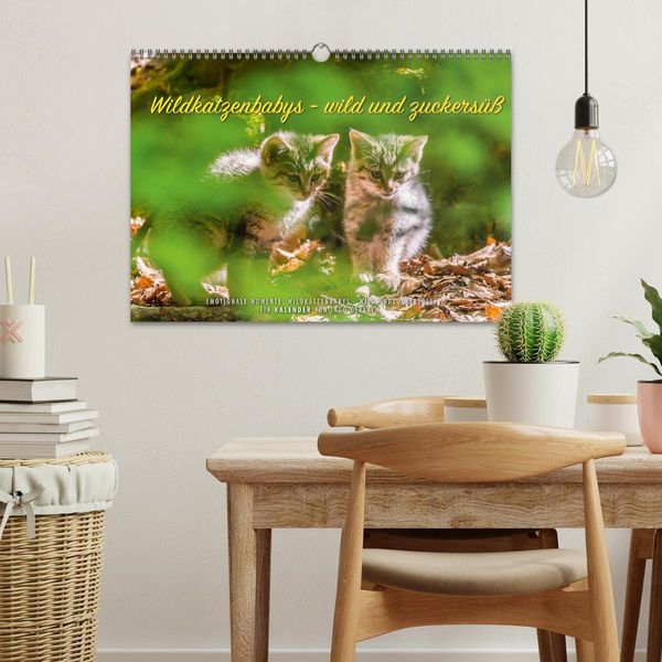Produktbild: Wildkatzenbabys - wild und zuckers&uuml;&szlig;. (Wandkalender 2026 DIN A3 quer), CALVENDO Monatskalender