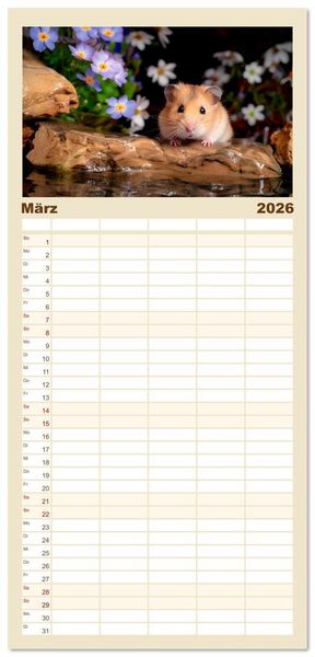 Produktbild: Familienplaner 2026 - Wild und flauschig - Hamster - Abenteuer in freier Natur mit 5 Spalten (Wandkalender, 21 x 45 cm) CALVENDO