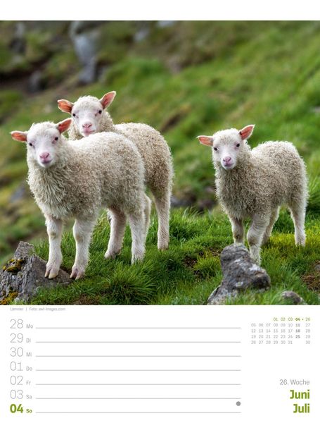 Produktbild: Island Wochenplaner Kalender 2027 | Die Insel aus Feuer und Eis