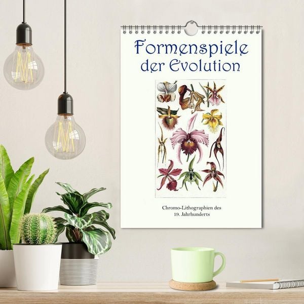 Produktbild: Formenspiele der Evolution. Chromolithographien des 19. Jahrhunderts (Wandkalender 2026 DIN A4 hoch), CALVENDO Monatskalender