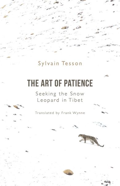 Produktbild: The Art of Patience