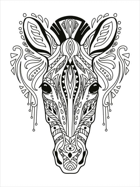Produktbild: Mein Mandala-Tier-Malbuch &ndash; Wilde Tiere