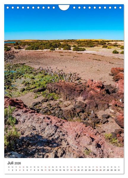 Produktbild: Patagonien, die sch&ouml;nsten Reiseziele: Wildnis am Rande der Welt (Wandkalender 2026 DIN A4 hoch), CALVENDO Monatskalender