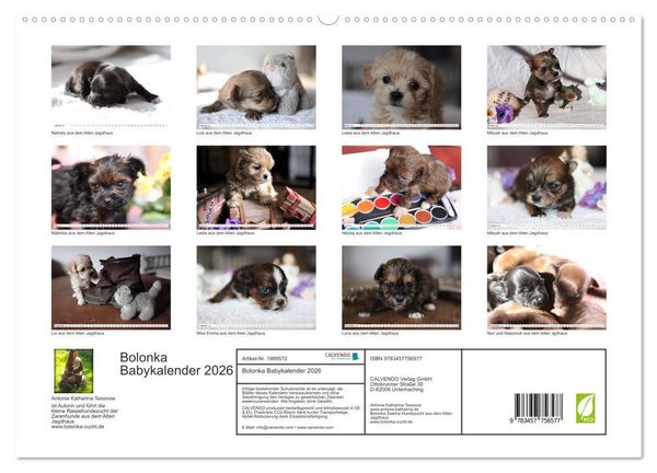 Produktbild: Bolonka Babykalender 2026 (hochwertiger Premium Wandkalender 2026 DIN A2 quer), Kunstdruck in Hochglanz