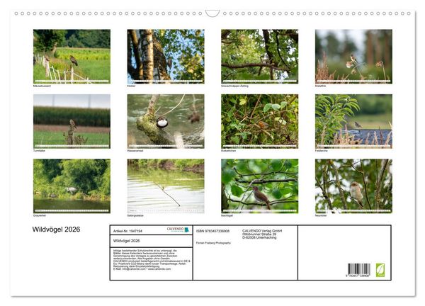 Produktbild: Wildv&ouml;gel 2026 (Wandkalender 2026 DIN A2 quer), CALVENDO Monatskalender