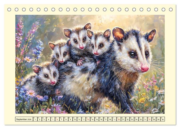 Produktbild: Opossums. Faszinierende Beutelratten in &Ouml;loptik (Tischkalender 2026 DIN A5 quer), CALVENDO Monatskalender