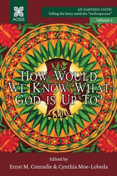 Produktbild: How Would we Know what God is up to?