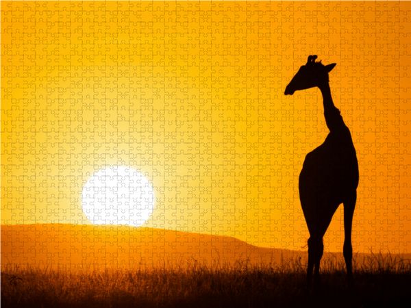 Produktbild: CALVENDO Puzzle Giraffe vor aufgehender Sonne 1000 Teile Lege-Gr&ouml;&szlig;e 64 x 48 cm Foto-Puzzle Bild von Dr. Gerd-Uwe Neukamp