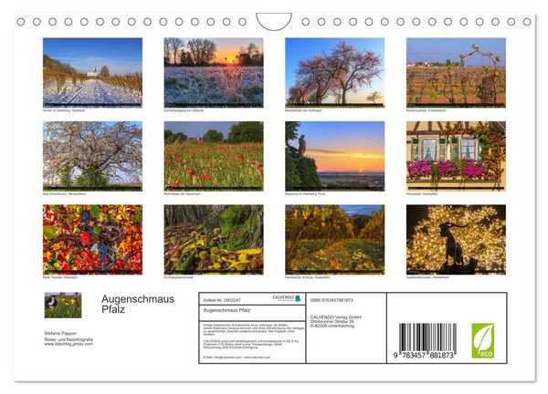 Produktbild: Augenschmaus Pfalz (Wandkalender 2026 DIN A4 quer), CALVENDO Monatskalender