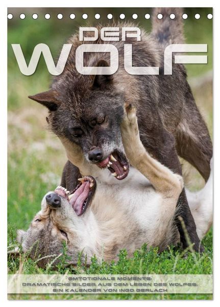 Produktbild: Emotionale Momente: Der Wolf. (Tischkalender 2026 DIN A5 hoch), CALVENDO Monatskalender