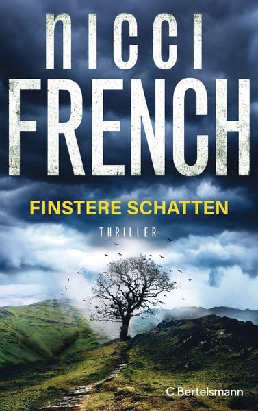 Produktbild: Finstere Schatten