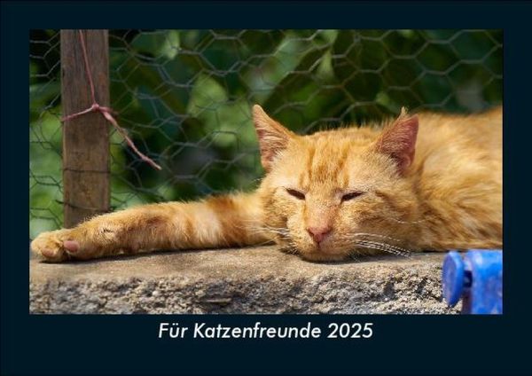 Produktbild: F&uuml;r Katzenfreunde 2025 Fotokalender DIN A5