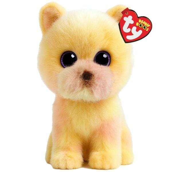 Produktbild: PALMER POMERENIAN YELLOW - BOO - REG