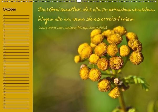 Produktbild: Vergiss mein nicht Geburtstagskalender (Wandkalender immerw&auml;hrend DIN A2 quer)