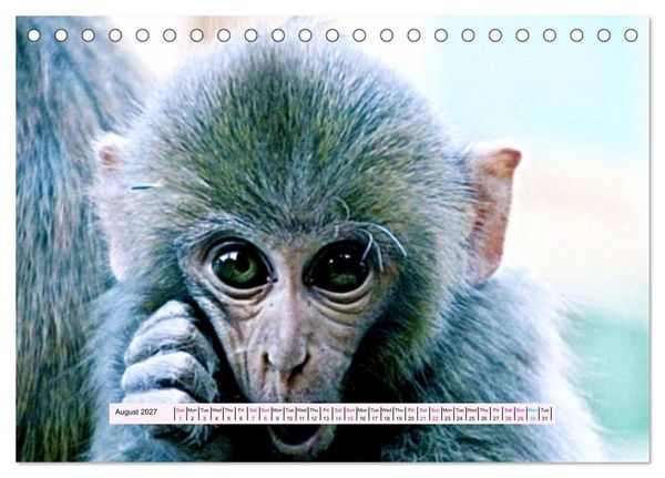 Produktbild: Silent Heart of Asia (Desk Calendar 2027 DIN A5 landscape), CALVENDO 12 Month DeskCalendar