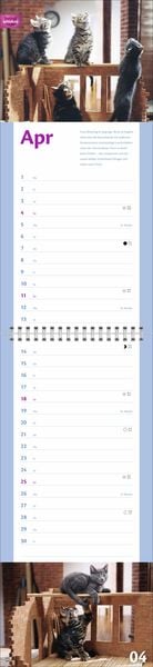 Produktbild: Whiskas Katzenleben Kalender 2027