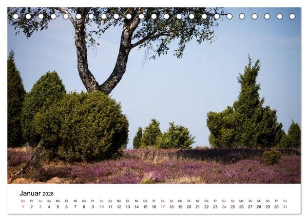 Produktbild: L&uuml;neburger Heide (Tischkalender 2026 DIN A5 quer), CALVENDO Monatskalender