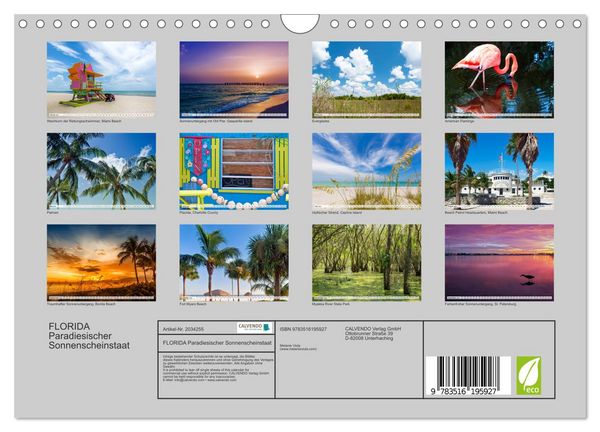 Produktbild: FLORIDA Paradiesischer Sonnenscheinstaat (Wandkalender 2026 DIN A4 quer), CALVENDO Monatskalender