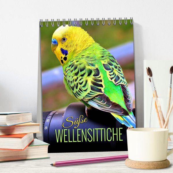 Produktbild: S&uuml;&szlig;e Wellensittiche (Tischkalender 2026 DIN A5 hoch), CALVENDO Monatskalender