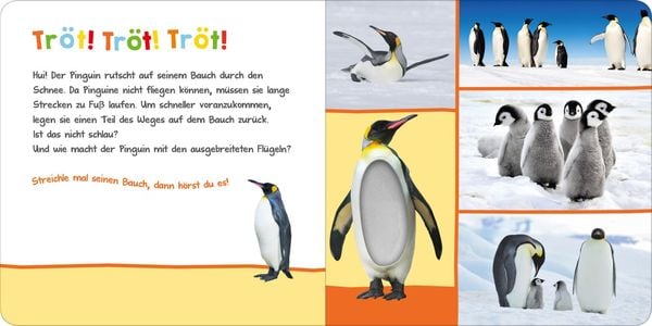 Produktbild: Hör mal rein, wer kann das sein? – Im Winter