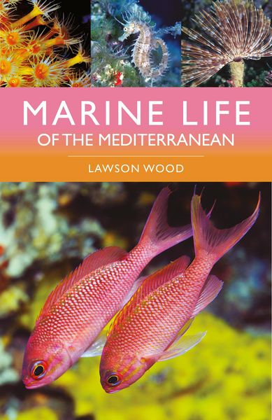 Produktbild: Marine Life of the Mediterranean