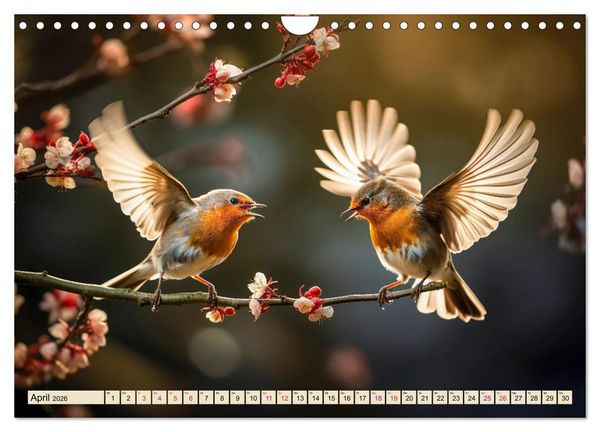 Produktbild: V&ouml;gel Alltag (Wandkalender 2026 DIN A4 quer), CALVENDO Monatskalender