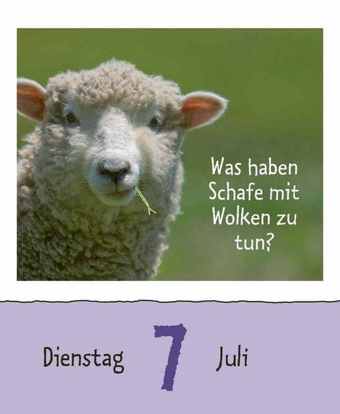 Produktbild: Wie faul ist das Faultier? 2026