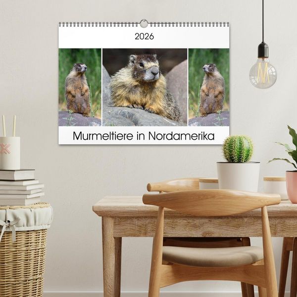 Produktbild: Murmeltiere in Nordamerika (Wandkalender 2026 DIN A3 quer), CALVENDO Monatskalender