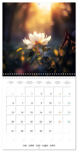Produktbild: &Eacute;clats naturels (Calendrier mural carr&eacute; 2026 30x30 cm) Calendrier double avec une page pour vos prises de notes