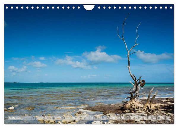Produktbild: Florida. Sonne und Meer (Wandkalender 2026 DIN A4 quer), CALVENDO Monatskalender