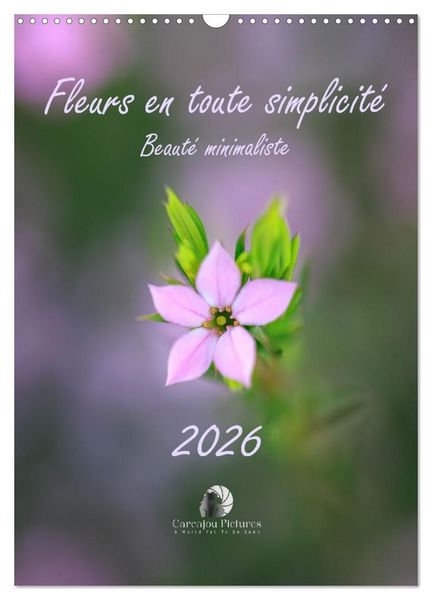 Produktbild: Fleurs en toute simplicit&eacute; - Beaut&eacute; minimaliste (Calendrier mural 2027 DIN A3 horizontal), CALVENDO calendrier mensuel