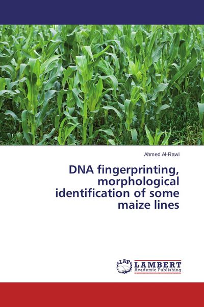 Produktbild: DNA fingerprinting, morphological identification of some maize lines