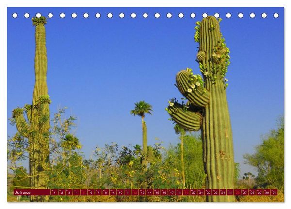 Produktbild: Arizona &bull; Impressionen (Tischkalender 2026 DIN A5 quer), CALVENDO Monatskalender