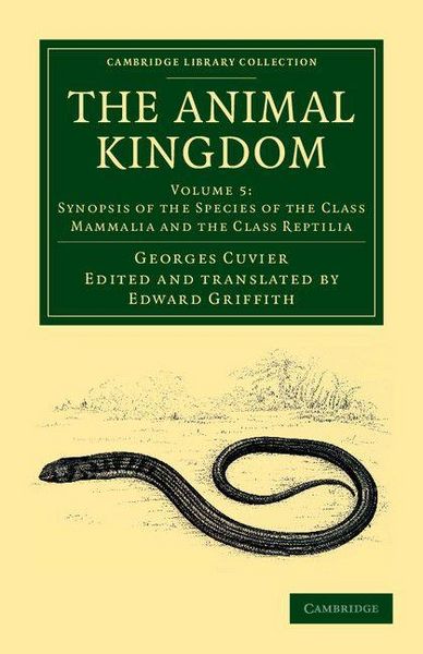 Produktbild: The Animal Kingdom - Volume 5