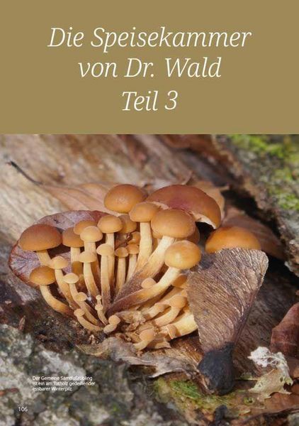 Produktbild: Dr. Wald und sein Holzknecht