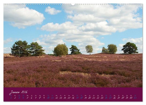 Produktbild: Die Nemitzer Heide - Im Wendland unterwegs (Wandkalender 2026 DIN A2 quer), CALVENDO Monatskalender