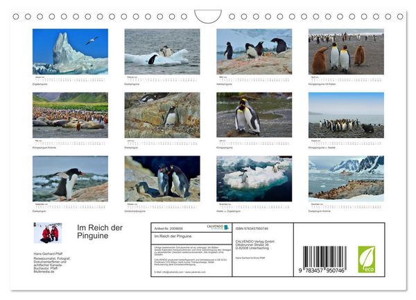 Produktbild: Im Reich der Pinguine (Wandkalender 2026 DIN A4 quer), CALVENDO Monatskalender