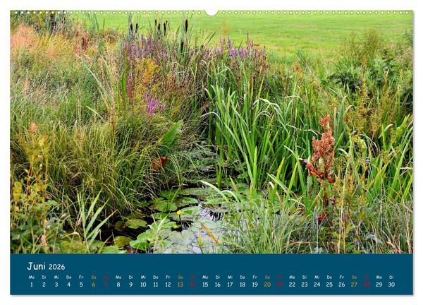 Produktbild: Naturschutzgebiet W&uuml;mme (Wandkalender 2026 DIN A2 quer), CALVENDO Monatskalender