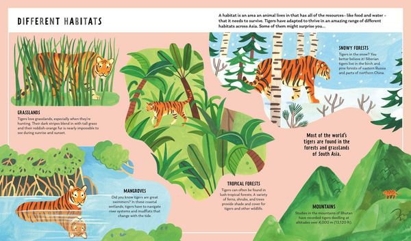Produktbild: Tiger (Young Zoologist)