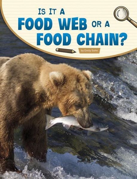 Produktbild: Is It a Food Web or a Food Chain?